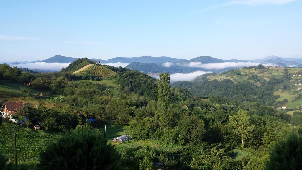 Lux Smestaj Ivanjicki Konaci Ivanjica Pokój zdjęcie